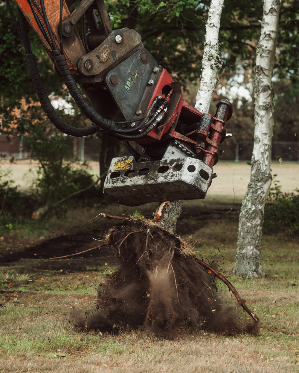 Tree surgery work