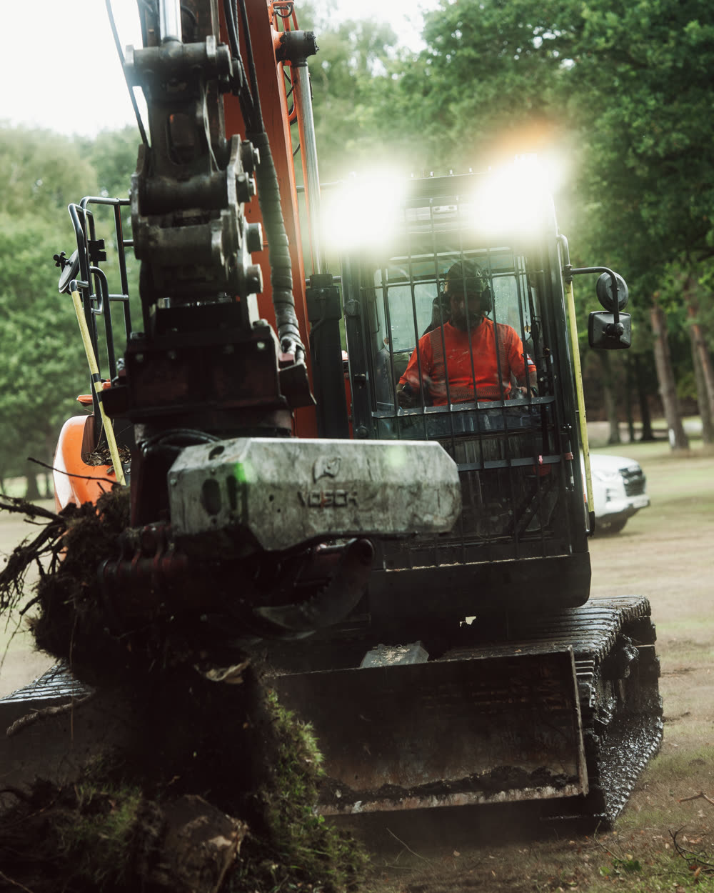Tree surgery work